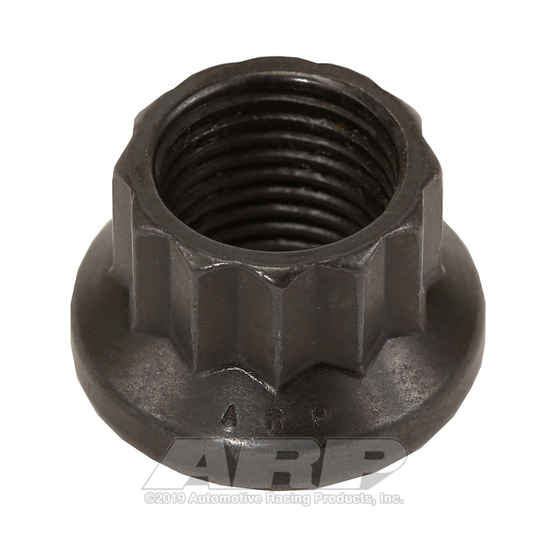 ARP 300-8304 1/2in-20 12pt Nut Kit (Single Nut)