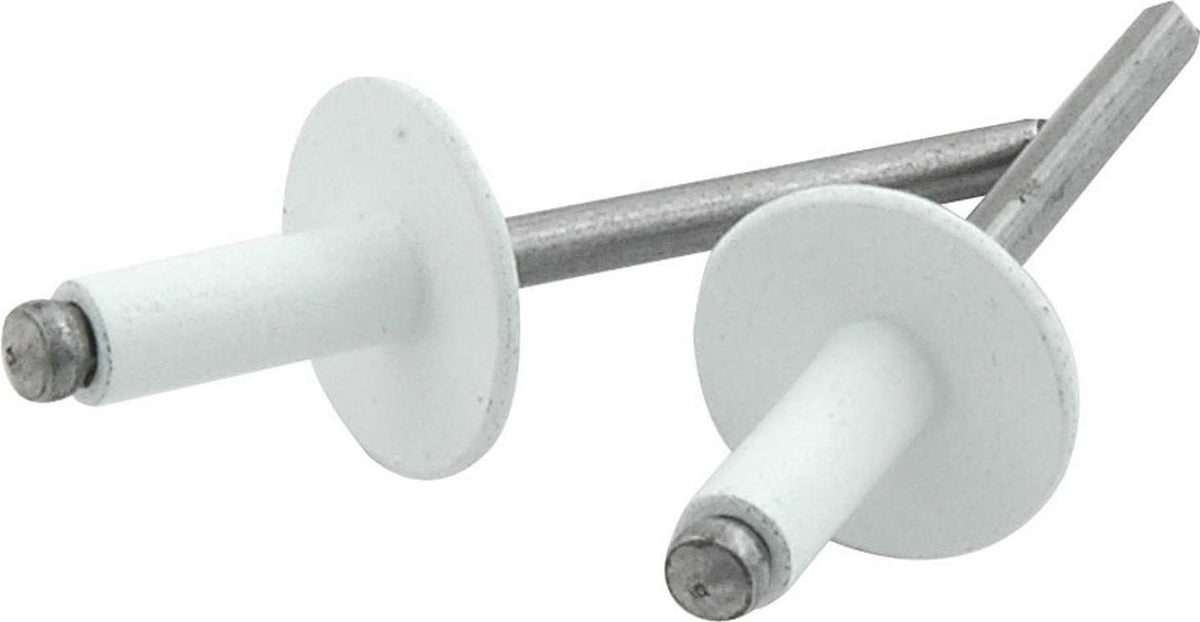 Allstar Performance Large Head Rivet 250Pk White ALL18156