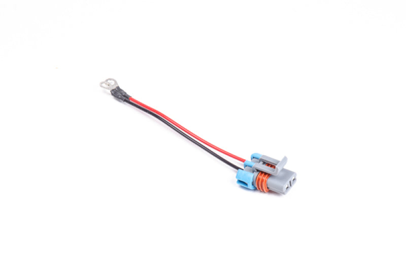 Radium Wiring Harnesses - #17-0049-00