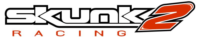 Skunk2 12in. Decal (Set of 2)