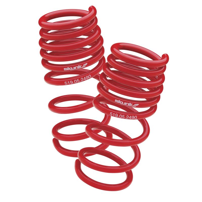 Skunk2 94-01 Acura Integra Lowering Springs (2.50in - 2.25in.) (Set of 4)