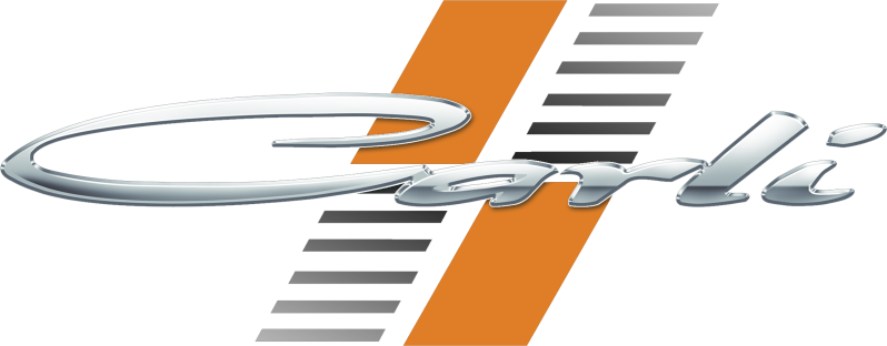 Carli Suspension logo