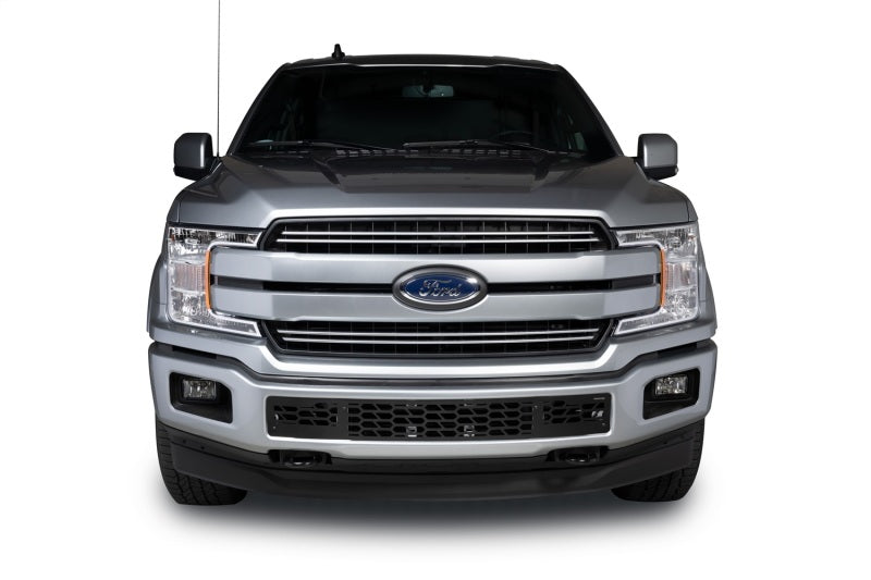 Putco for 2018-2020 Ford F-150 - Hex Shield - Black Powder Coated Bumper Grille Inserts