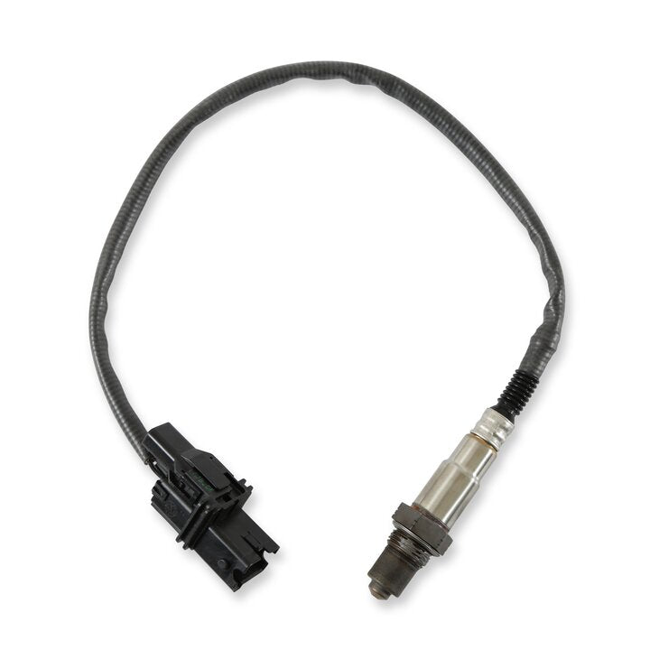 MSD 2930 Atomic, O2 Sensor Wideband