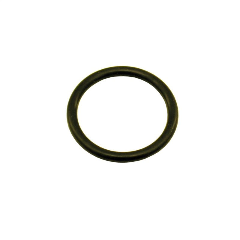 Nitrous Express 1-1/8 O-Ring (Fits 5lb/10lb/12lb/15lb Bottle Valve) 11028