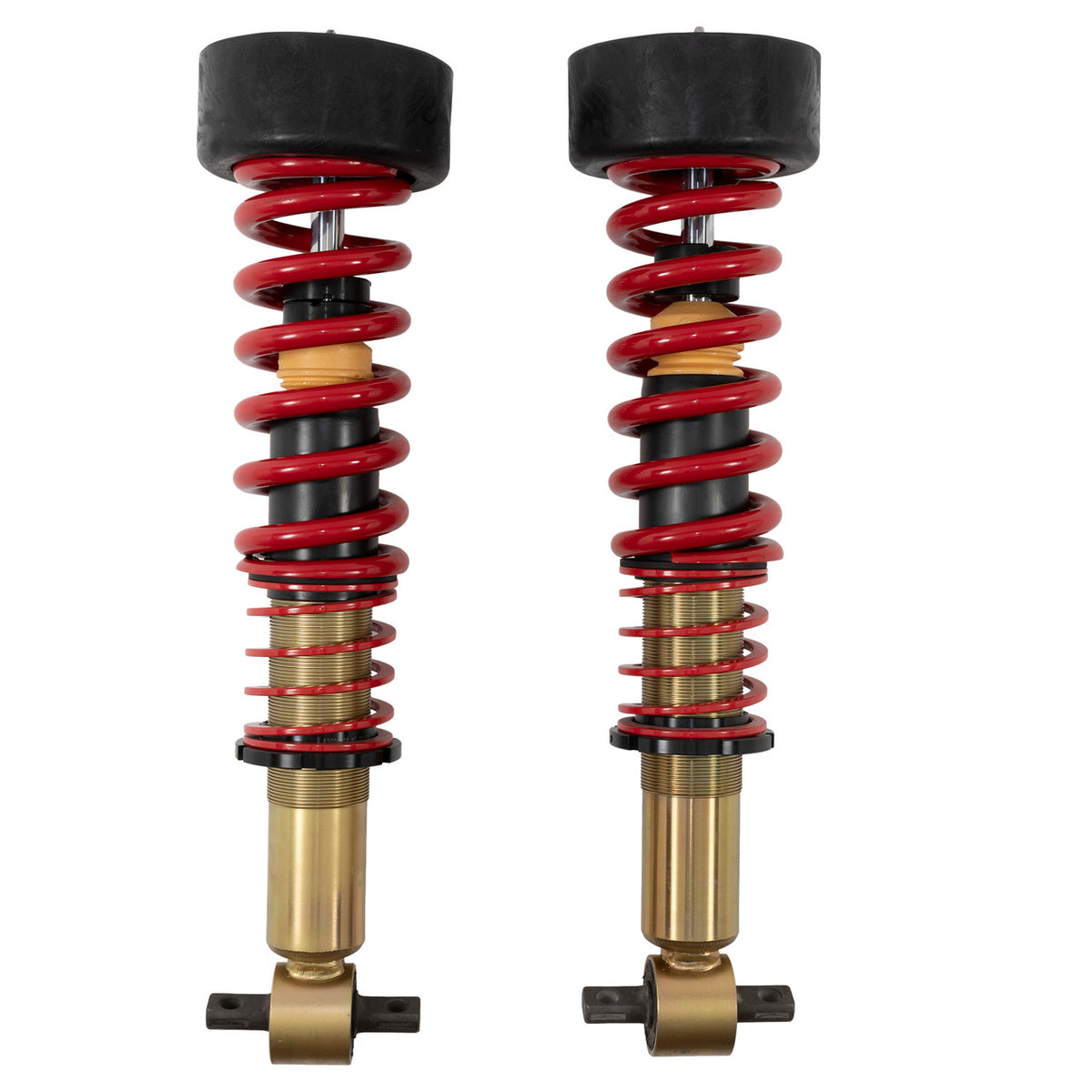 Belltech 2019-2025 for GM 1500 2WD/4WD Performance Coilover Kit