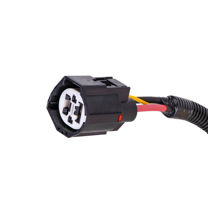 SPAL 30107059-PKG jumper harness connector, close-up of the plug on the included harness