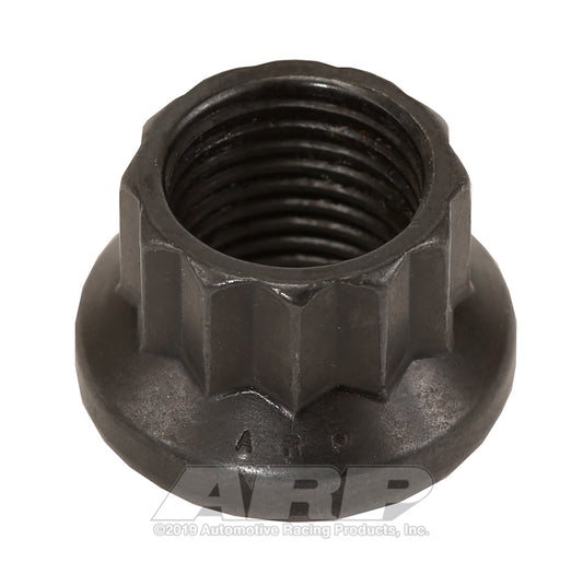 ARP 300-8304 1/2in-20 12pt Nut Kit (Single Nut)