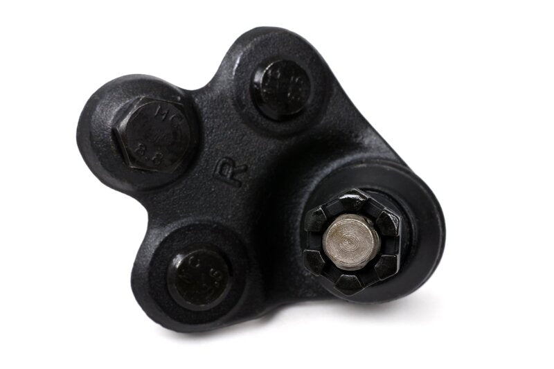 BLOX Racing Roll Center Adjusters / Extended Front Ball Joints - 06-11 Honda Civic (Pair) BXSS-20003