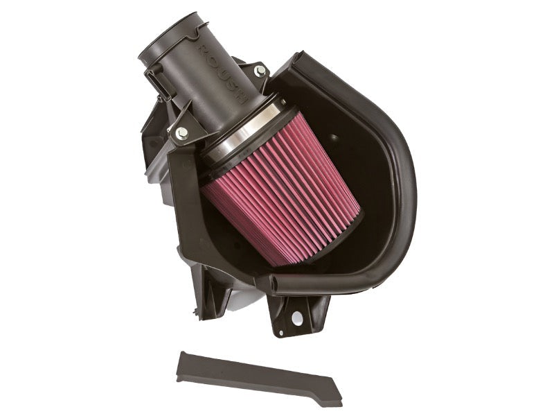 Roush 4.6L/5.0L V8 Cold Air Intake Kit for 2010-2014 Ford Mustang 420131