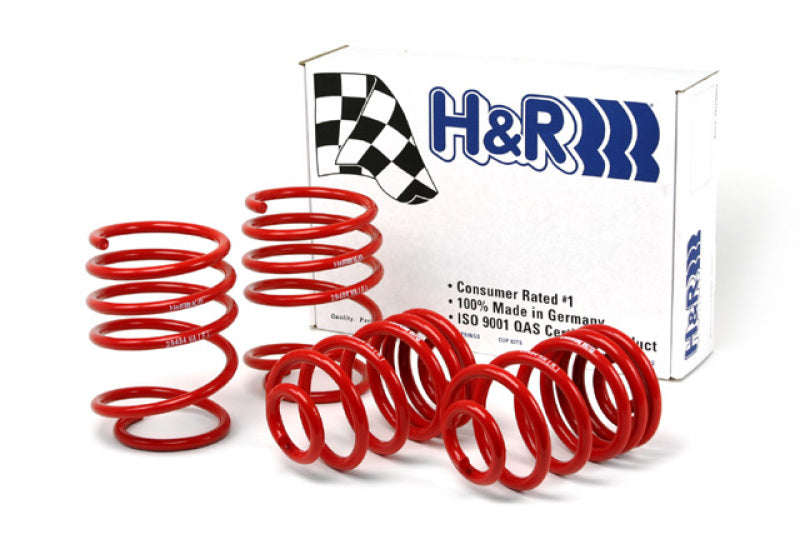 H&R Race Springs - BMW E46 3-Series (323/325/328/330) - 29484