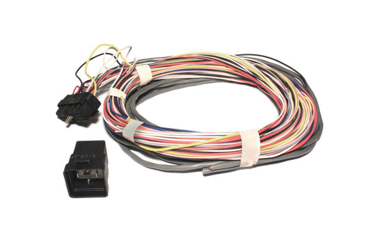 FAST 307041 Wiring Harness with Relay