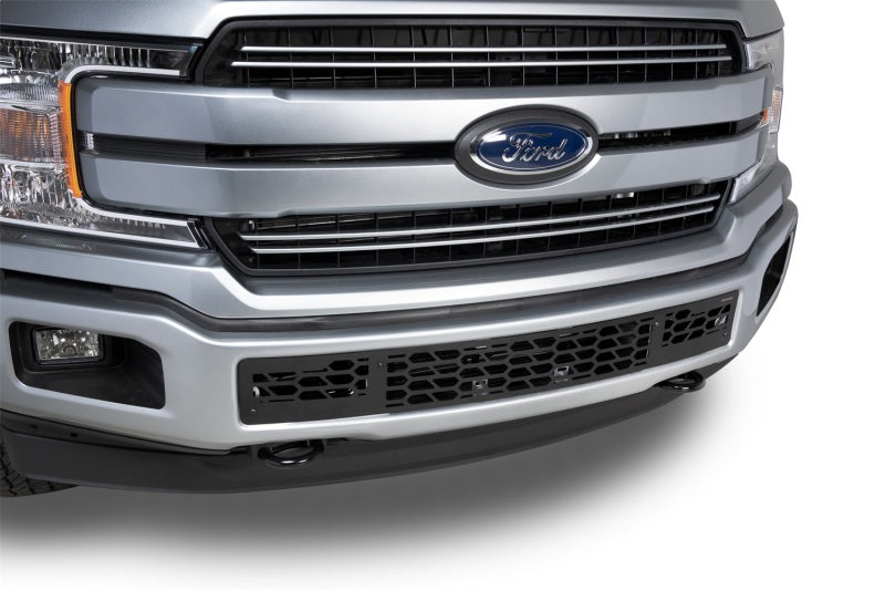 Putco for 2018-2020 Ford F-150 - Hex Shield - Black Powder Coated Bumper Grille Inserts
