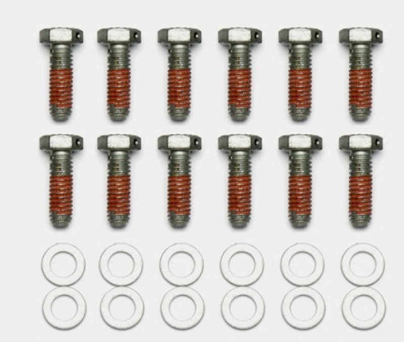 Wilwood Bolt Kit - 5/16-18 x 1.00 LG - 12 pk - #230-14086
