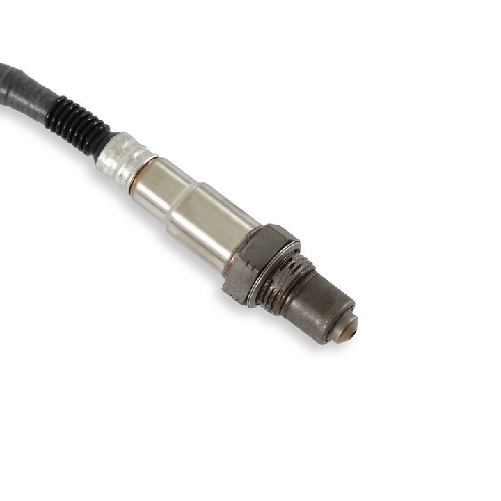 MSD 2930 Atomic, O2 Sensor Wideband