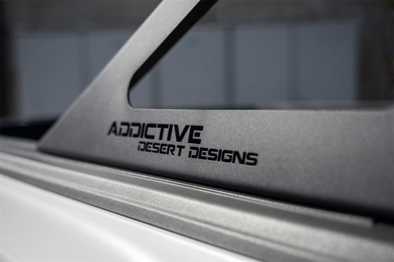 Addictive Desert Designs for 17-19 Ford F-150 Raptor Stealth Fighter Chase Rack