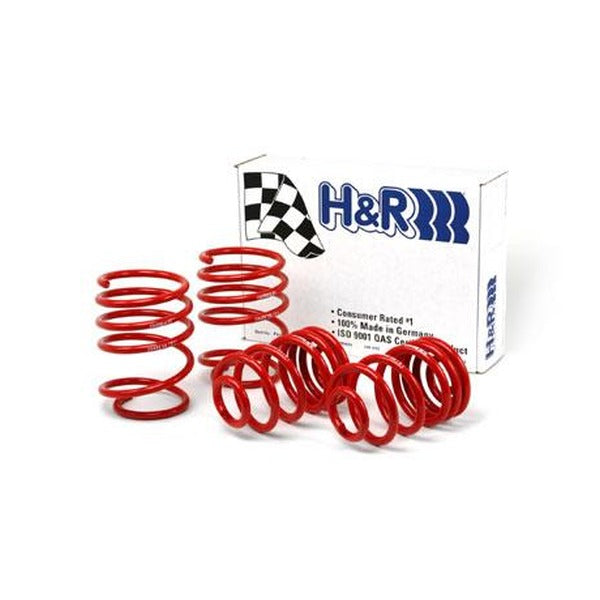 H&R Race Springs - BMW E46 3-Series (323/325/328/330) - 29484