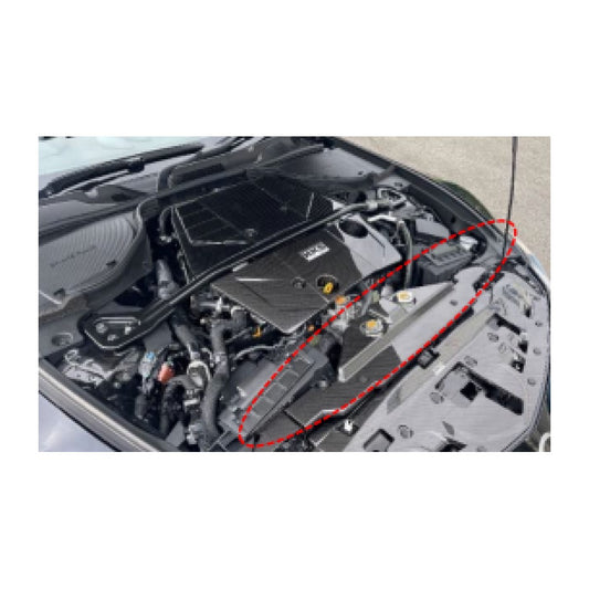HKS 2023 Nissan Z Dry Carbon Radiator Cover