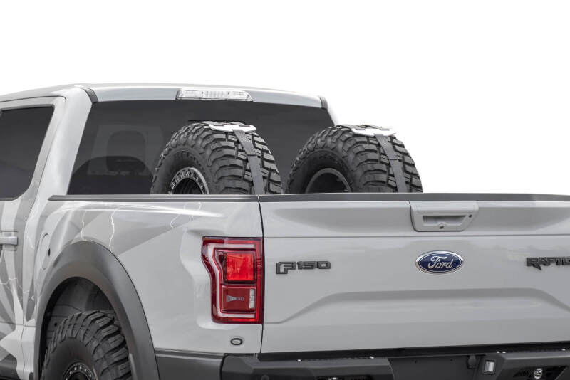 Addictive Desert Designs Universal Tire Carrier