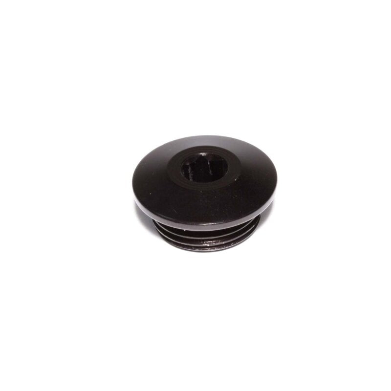 Edelbrock 549200-1 Aluminum Port Plug -12AN