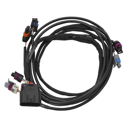 Edelbrock 36155 Chevrolet LS Using a 4-Pin Alternator Pro-Flo 4+ EFI Wiring Harness