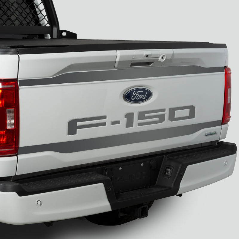 Putco for 2021 Ford F-150 Ford Lettering (Cut Letters/Stainless Steel) Tailgate Emblems