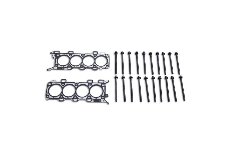 Ford Racing 2018-2021 5.0L for Coyote Head Changing Kit - 12mm Head Bolts