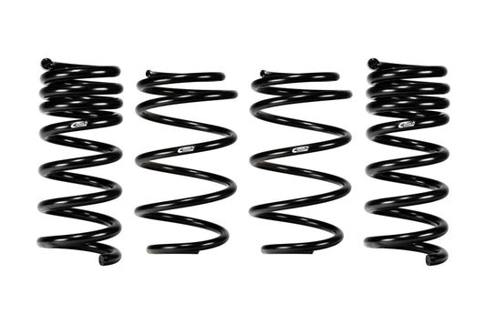Eibach 2024-2027 Ford Mustang GT Coupe 5.0L RWD S650 Performance Pack with Magneride E10-35-064-02-22