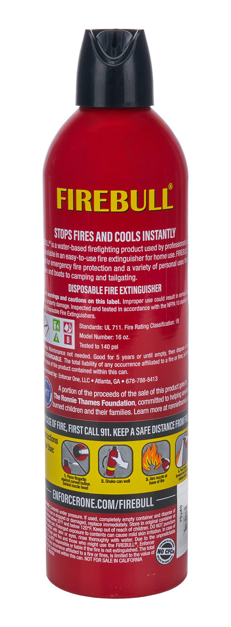 Allstar Performance Fire Extinguisher 12.69oz Can ALL10503
