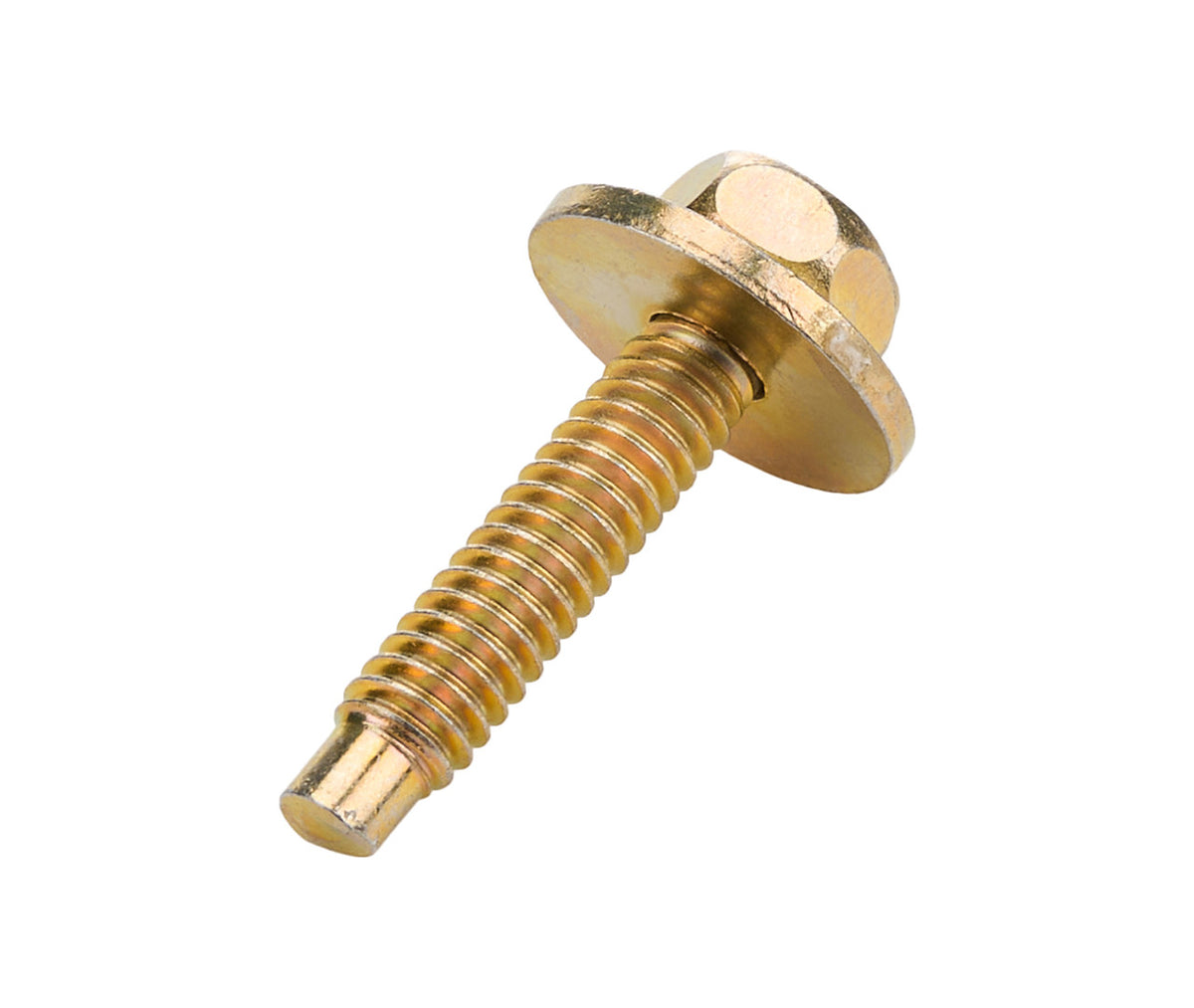 Allstar Performance Body Bolt 1-1/8in 50pk Gold ALL16554-50