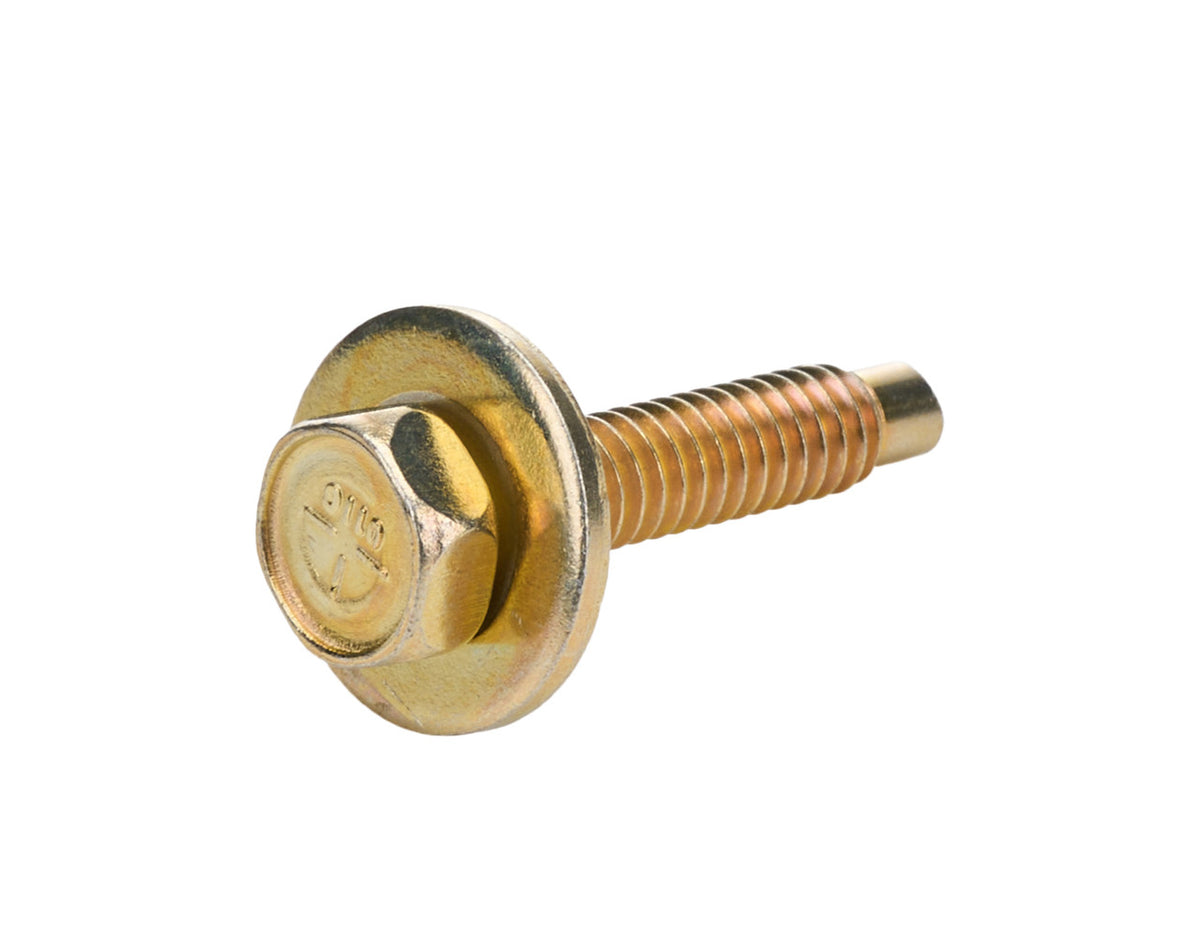Allstar Performance Body Bolt 1-1/8in 50pk Gold ALL16554-50