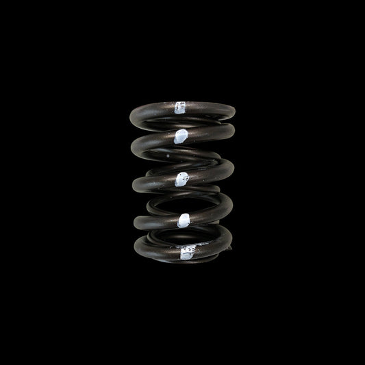 Brian Crower Honda/Acura B18C/B16A/B17A, Nissan Valve Spring - Dual - BC1010