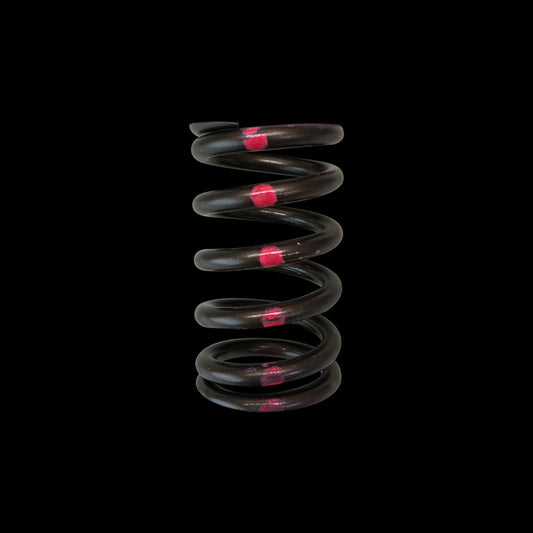 Brian Crower Nissan SR20DE-T Valve Spring - Single - Set of 16 BC1200 - Fits Infiniti