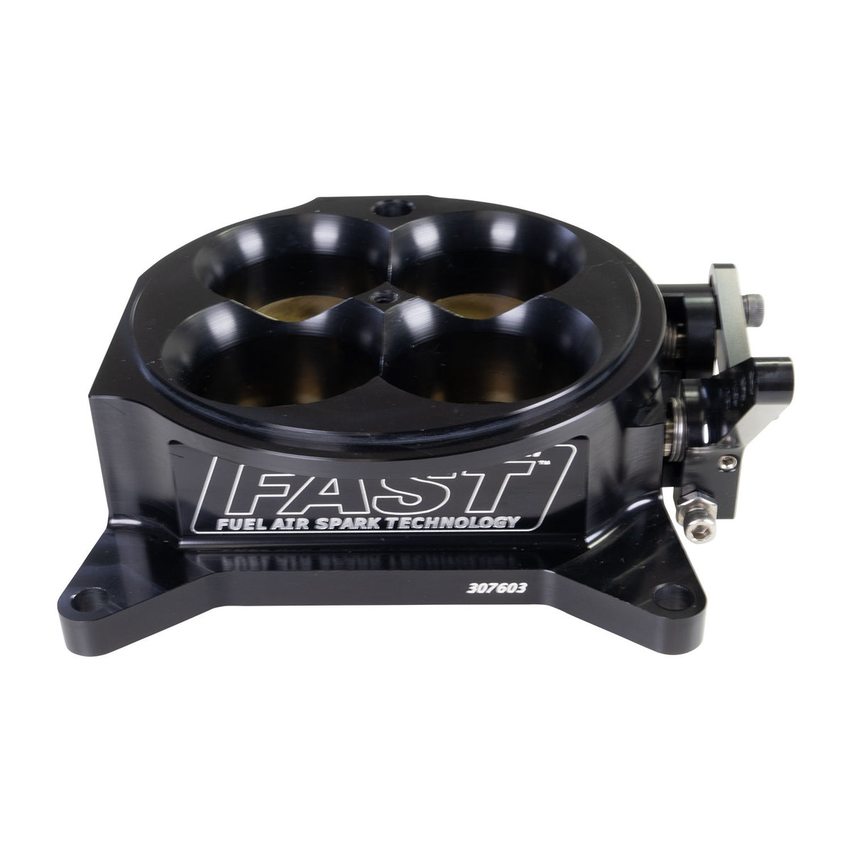 FAST 307603B 4150 Throttle Body with IAC TPS and Harness Black
