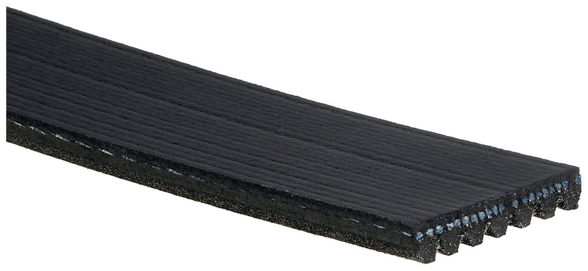 Gates K070795 Micro-V Belt for 2008-2012 Infiniti G37 2011-2012 M37 2009-2012 Nissan 370Z
