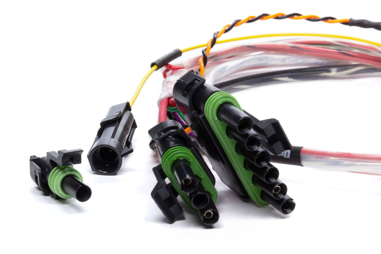 QuickCar Spec Asphalt Late Model Harness