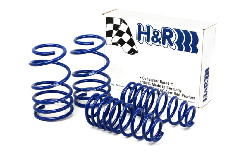 H&R Super Sport Springs - Ford Mustang / GT / Shelby GT (V6/V8) - 51655-77
