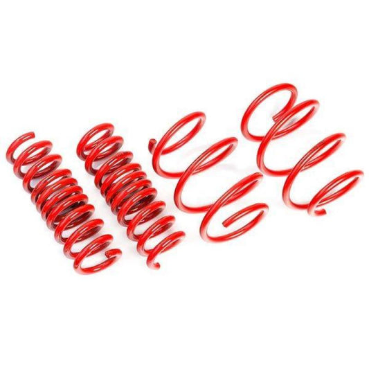 AST Suspension ASTLS-19-207 for Tesla Model 3 Long Range AWD Lowering Springs - 30mm