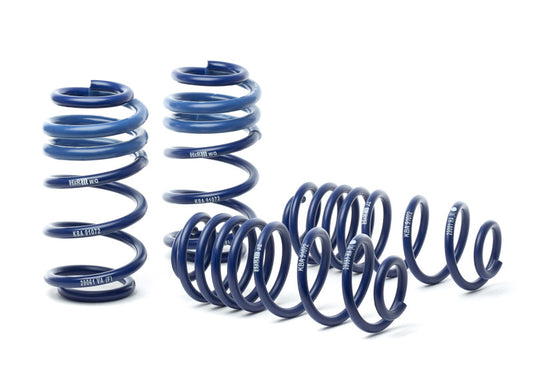 H&R OE Sport Springs - Audi B8 A4 Avant / S5 Cabrio / RS5 - 29061-2