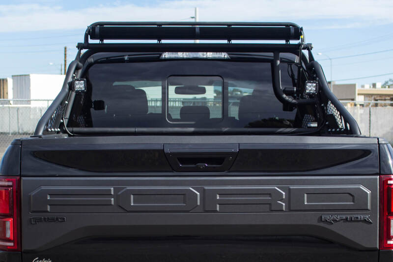 Addictive Desert Designs for 17-18 Ford F-150 Raptor Race Series Chase Rack w/ 2017 Grill Pattern