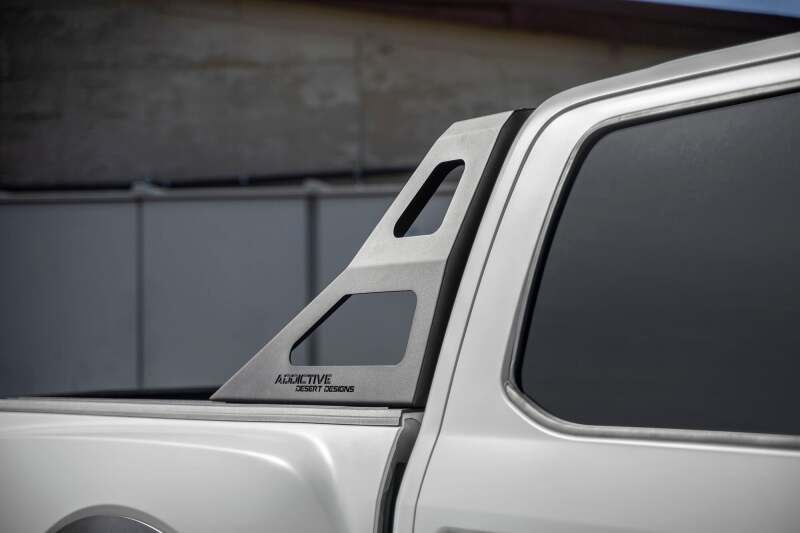 Addictive Desert Designs for 17-19 Ford F-150 Raptor Stealth Fighter Chase Rack