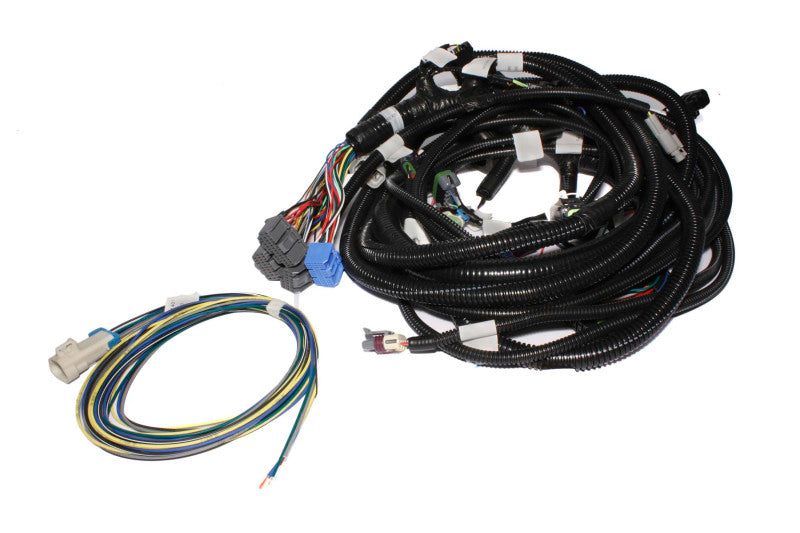 FAST 301108 XFI Main Wiring Harness LS1/LS2