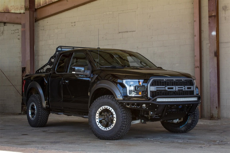 Addictive Desert Designs for 17-18 Ford F-150 Raptor Race Series Chase Rack w/ 2017 Grill Pattern