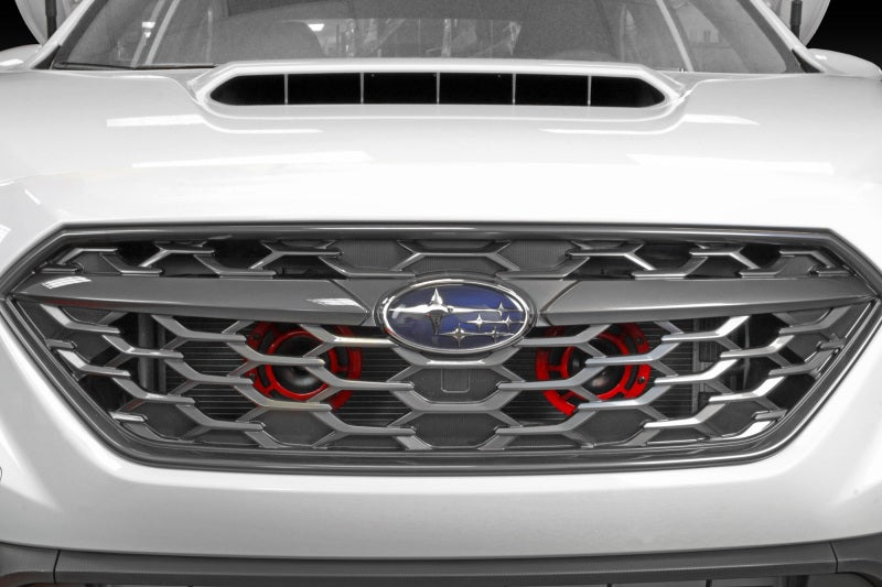 PERRIN 22-26 Subaru WRX Hella Horn Bracket (Bracket ONLY)