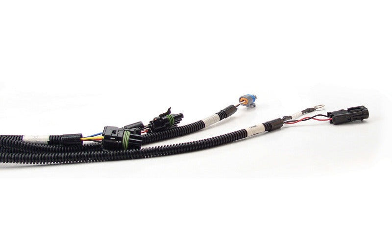 FAST 301100 XFI Main Wiring Harness