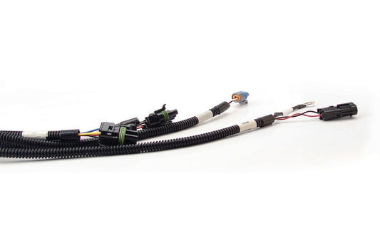 FAST 301100 XFI Main Wiring Harness