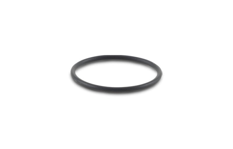 Vibrant -025 O-Ring for Oil Flanges
